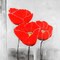 Poppy Flower Poster Print by Atelier B Art Studio - Item # VARPDXBEGFLO179